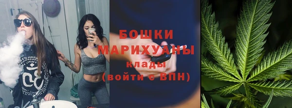 PSILOCYBIN Бронницы