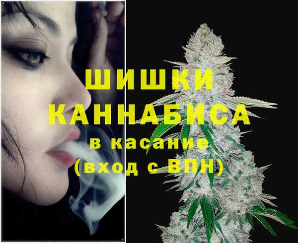 МДПВ Бородино