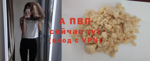 МДПВ Бородино