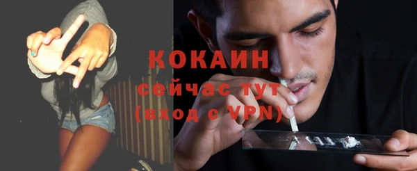 МДПВ Бородино
