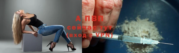 МДПВ Бородино