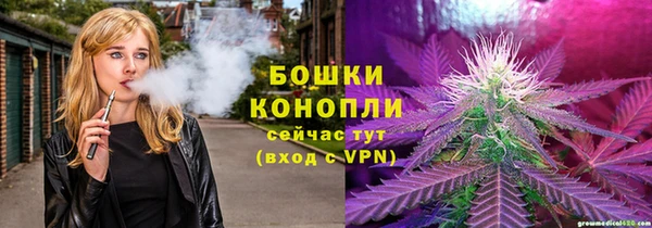 PSILOCYBIN Бронницы