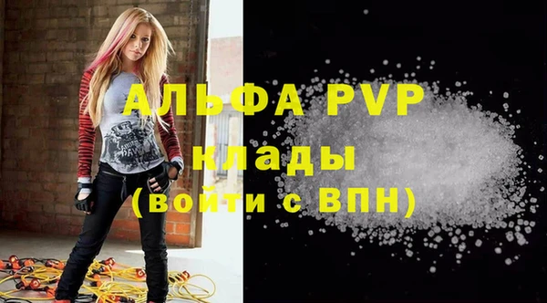 МДПВ Бородино