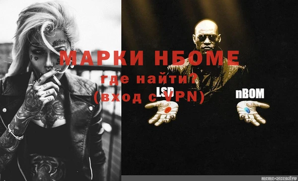МДПВ Бородино
