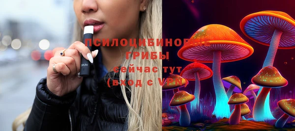 PSILOCYBIN Бронницы