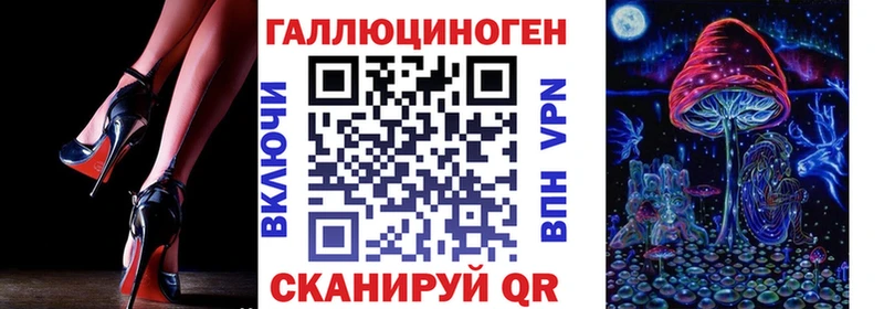 Купить где  Называевск  Псилоцибиновые грибы Psilocybe 